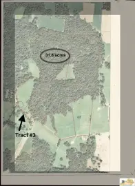 31.8 Acres of Unrestricted Land