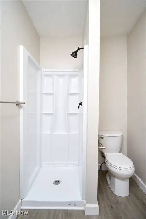Picture 31