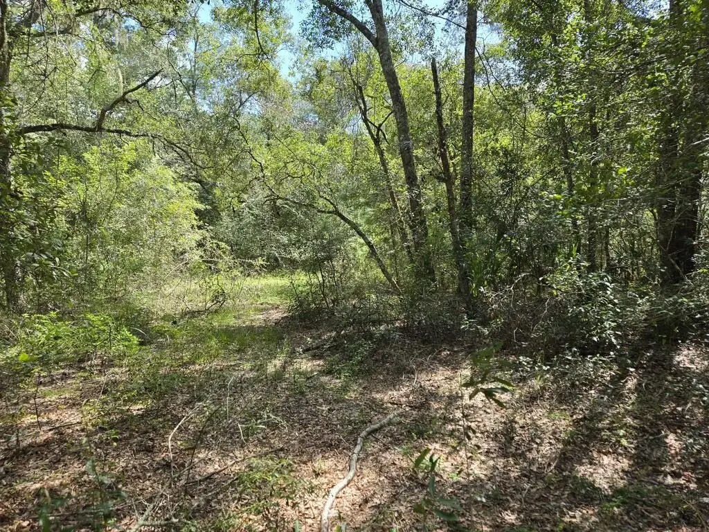 Picture 14