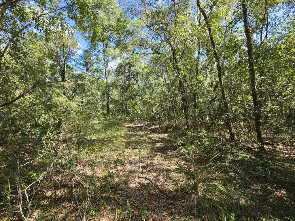 Picture 16