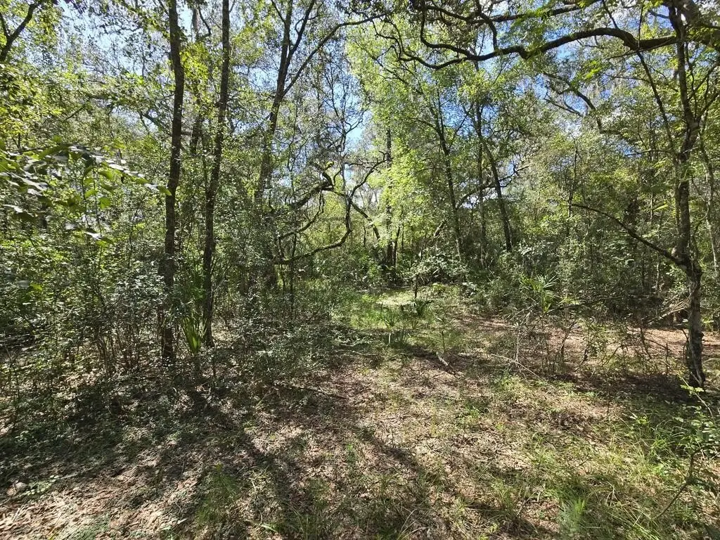 Picture 15
