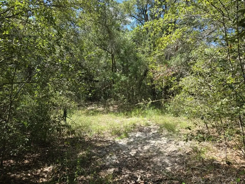 Picture 8