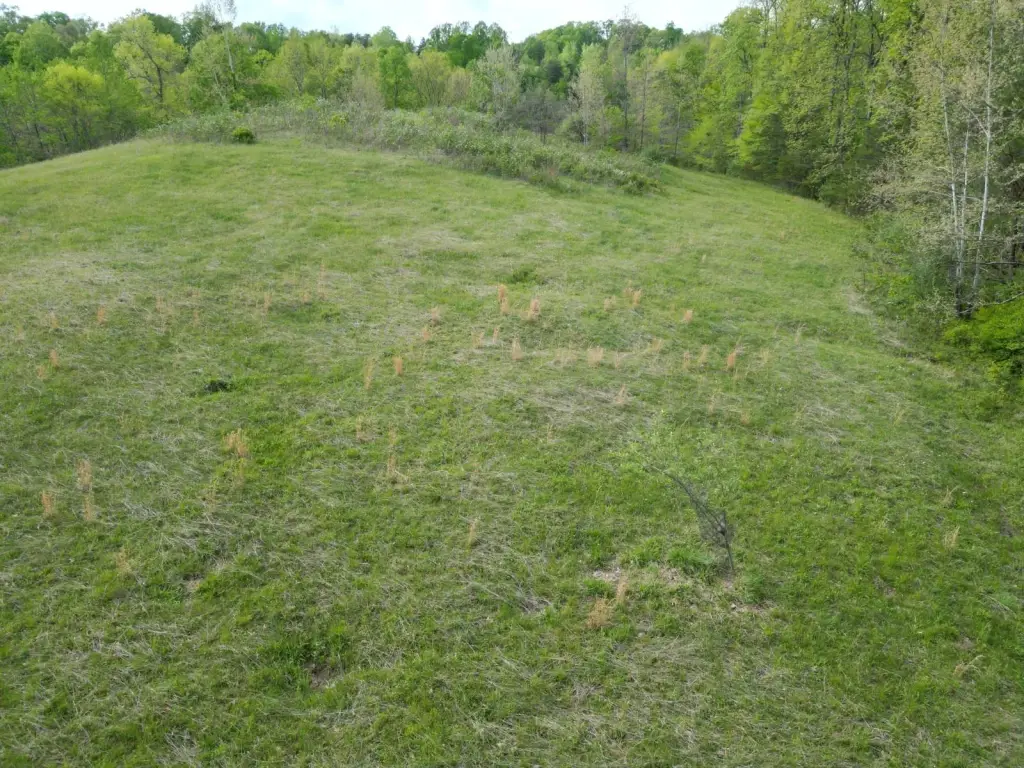 Picture 8