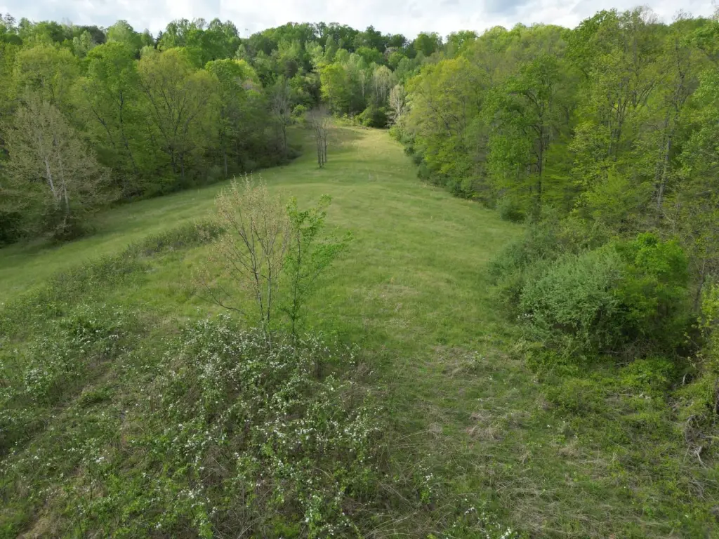 Picture 9