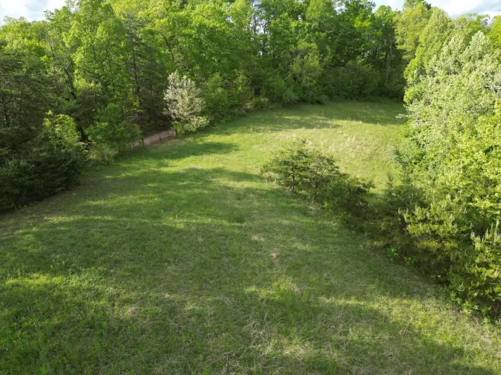 Picture 13