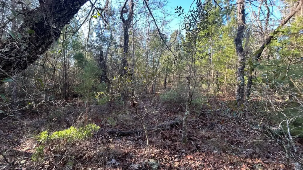 Picture 28