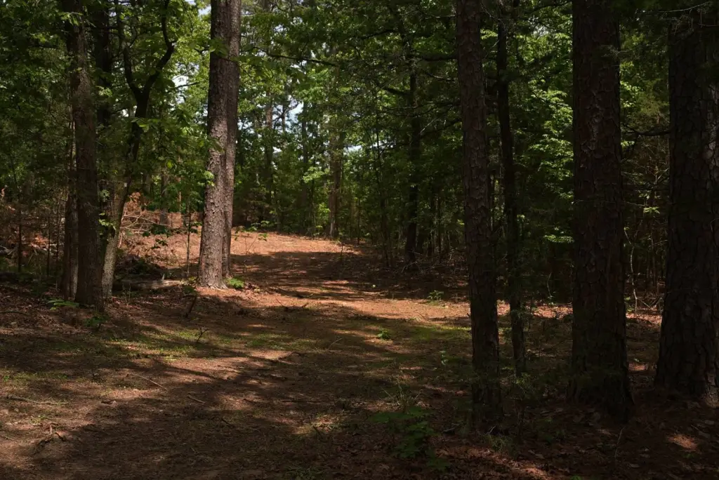 Picture 9