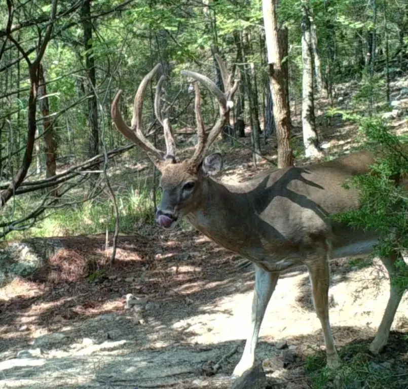 Picture 32