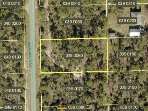 Vacant Land in Alva, FL