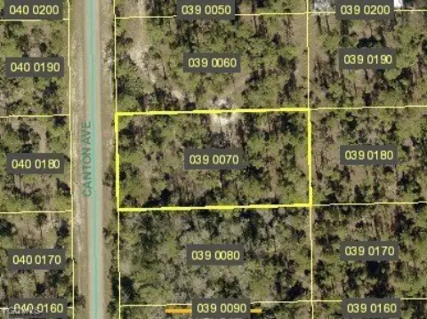 Vacant Land in Alva, FL