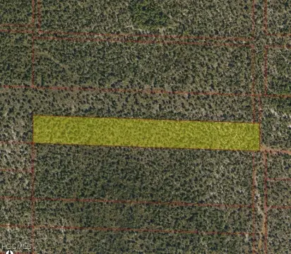 5-Acre Vacant Lot in Naples