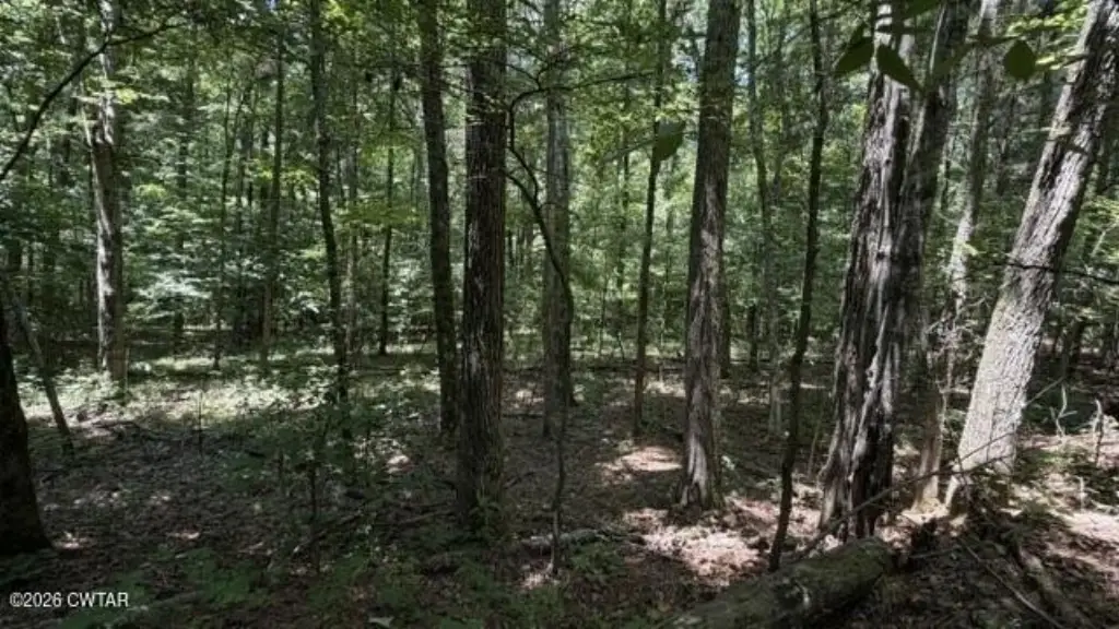 Picture 35