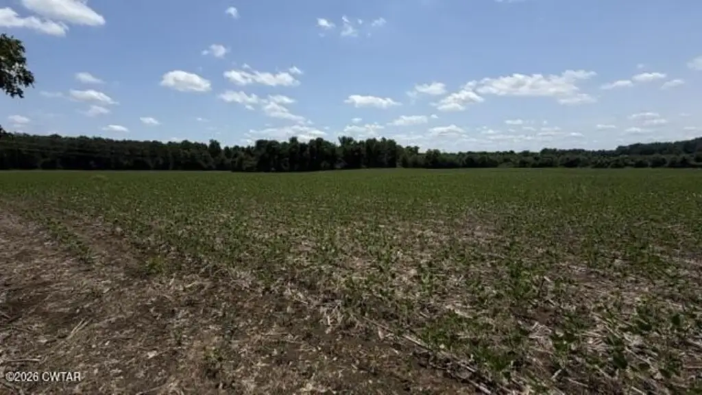 Picture 43