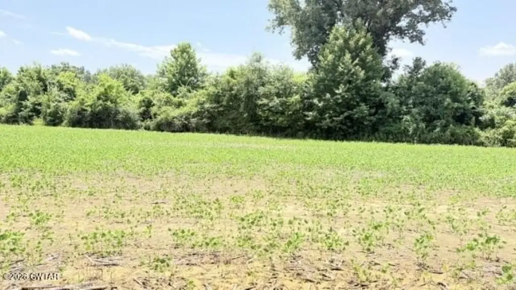 Picture 19