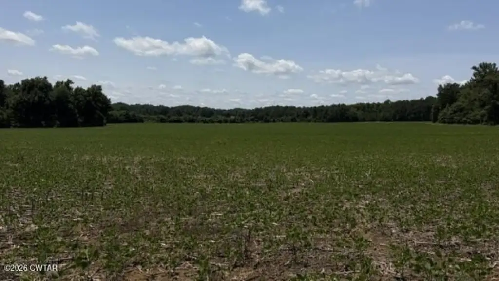 Picture 42