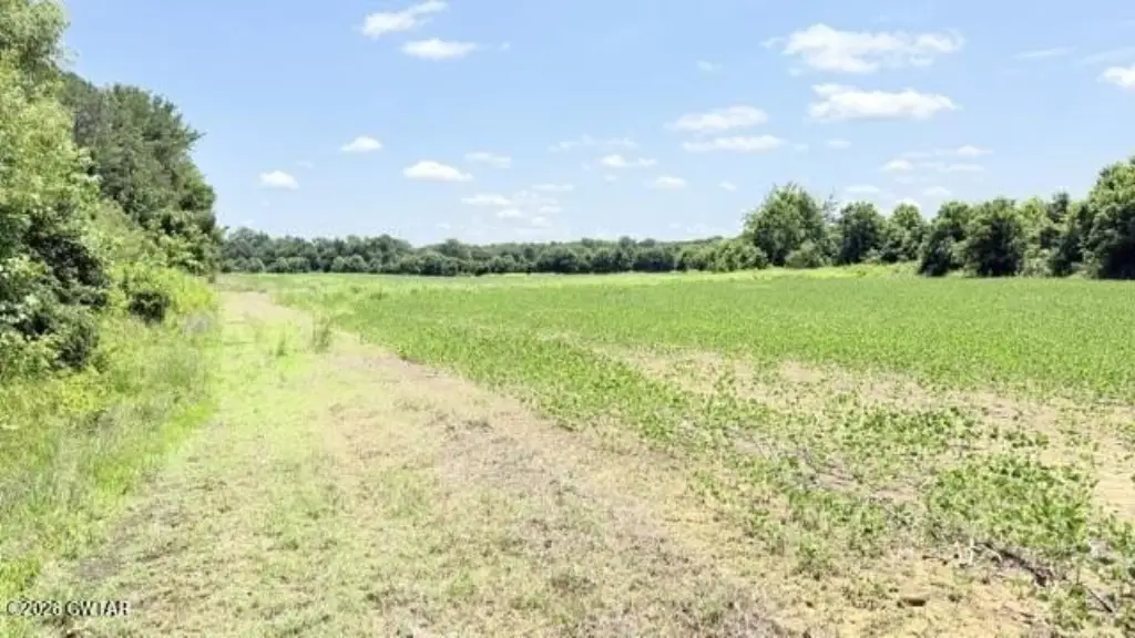 Picture 20