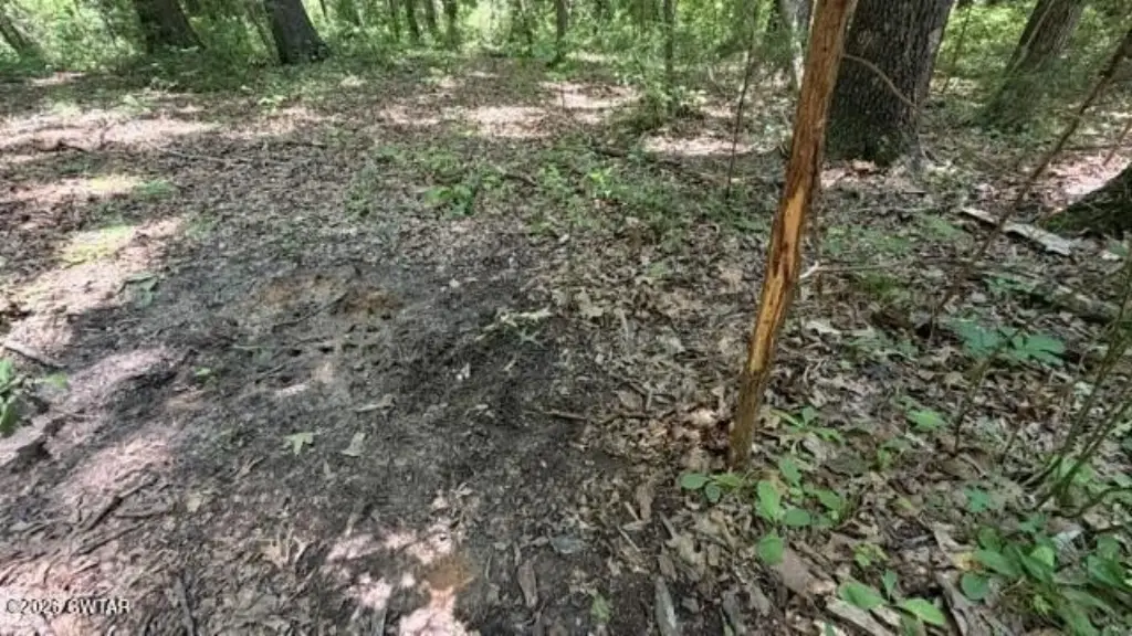 Picture 46