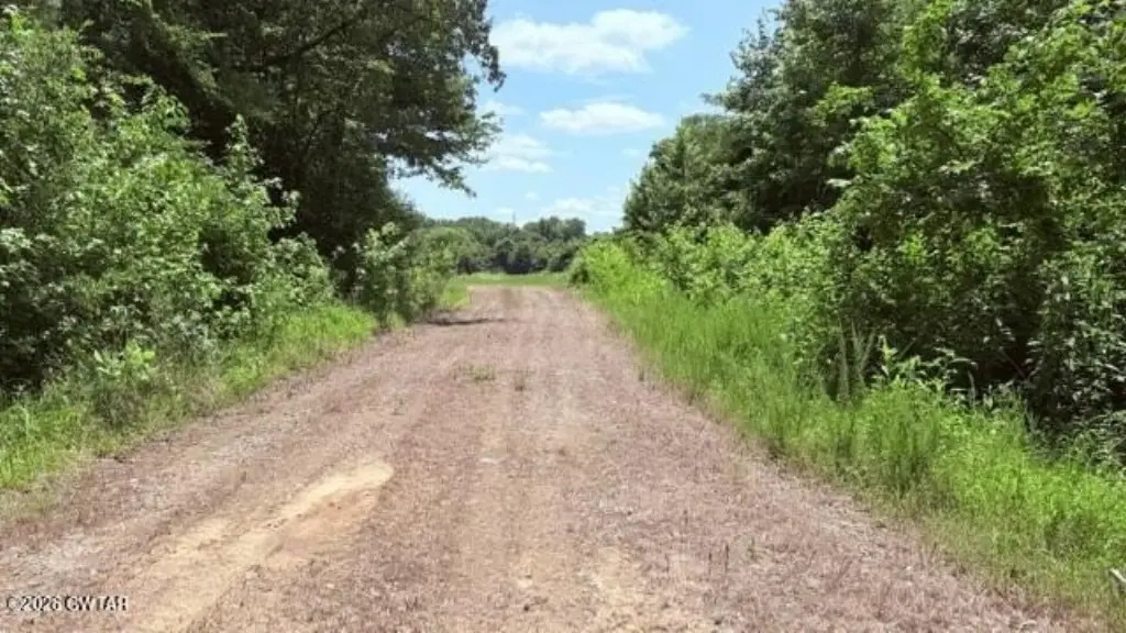 Picture 29