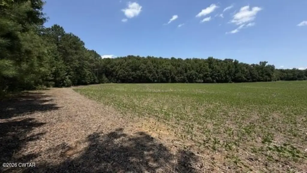 Picture 28