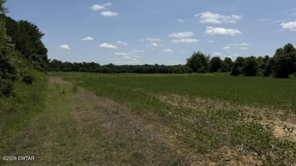 Picture 22