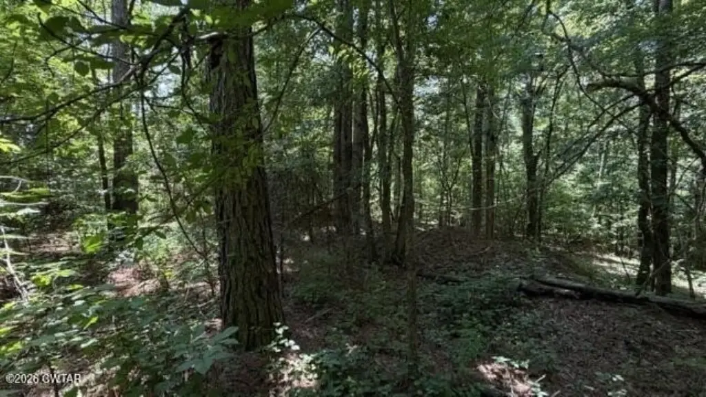 Picture 36