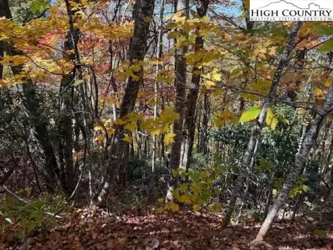 Blue Ridge Mountain Land Opportunity