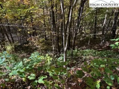 Wooded Lot Near Game Lands