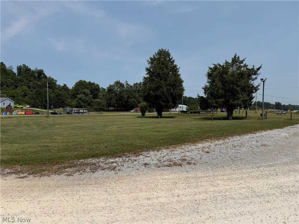 Picture 25