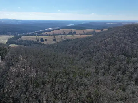 Forested Land with Highway Frontage