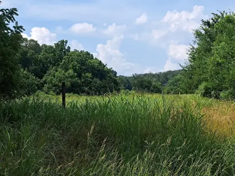 Land with Mature Trees and Creek