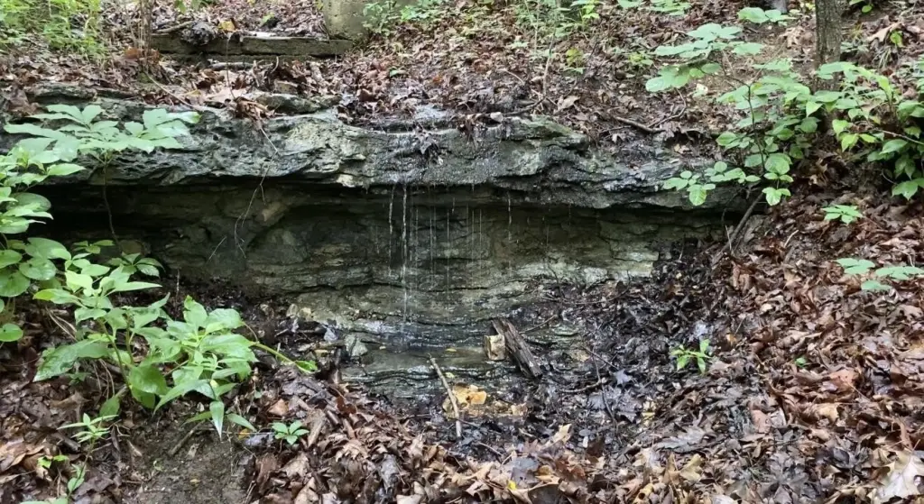 Picture 7