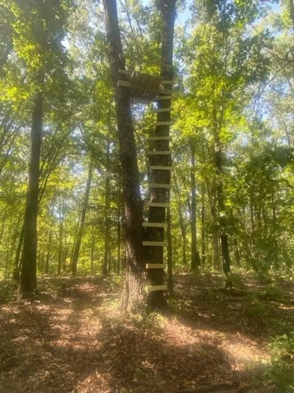 Picture 10