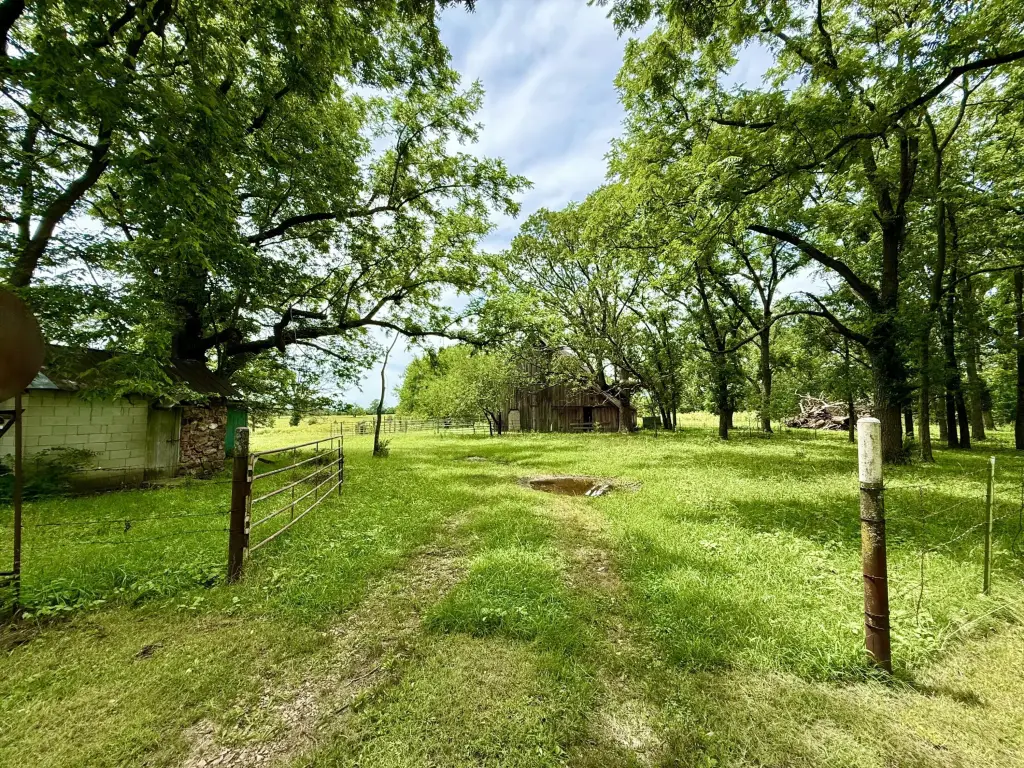 Picture 5