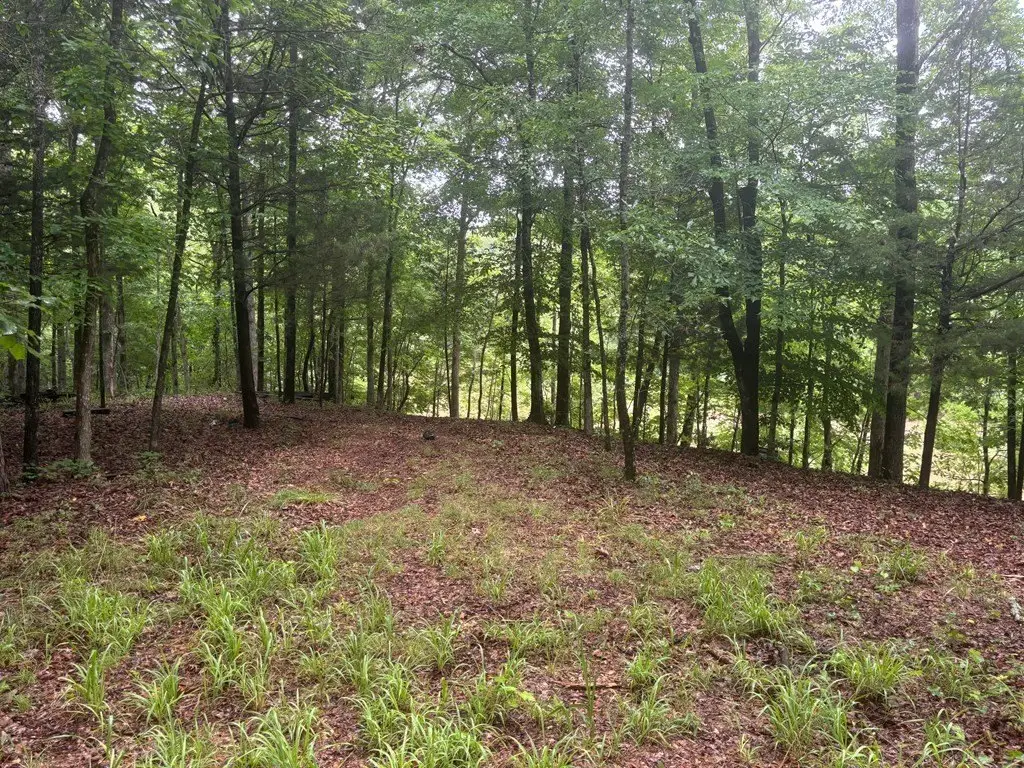 Picture 4