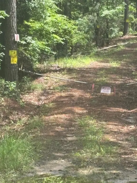 Picture 13