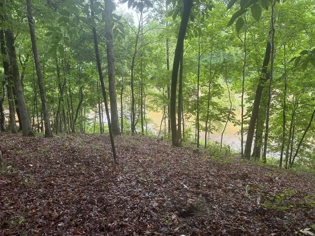 Picture 3