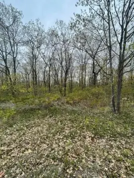 Vacant Land in Presque Isle