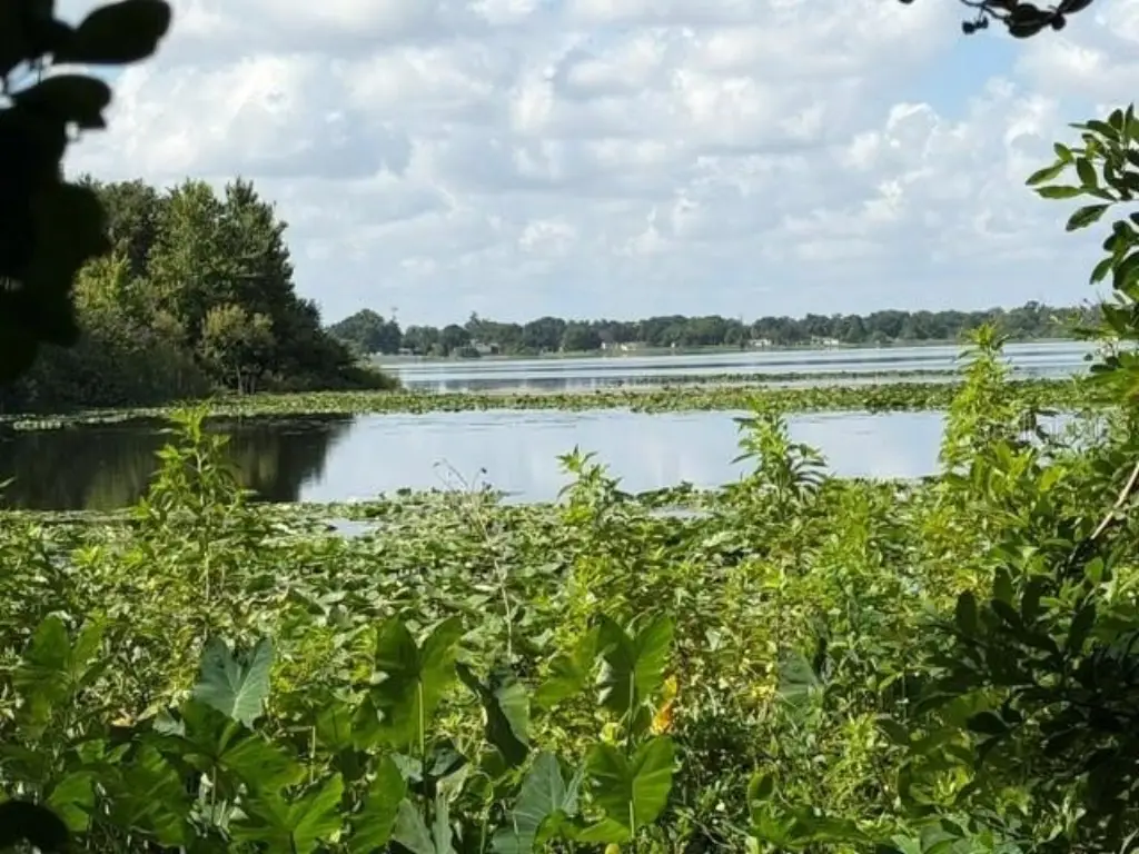 Picture 4