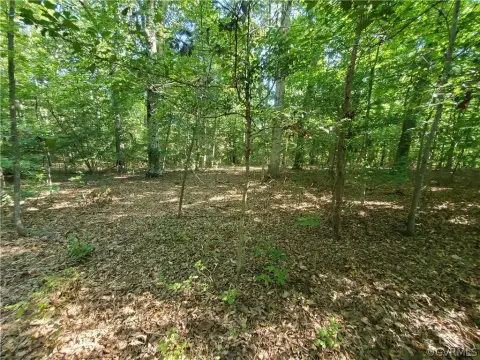 21 Acres Wooded Land