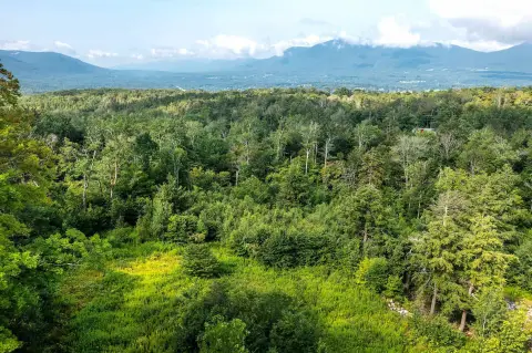 Land with Mountain Views