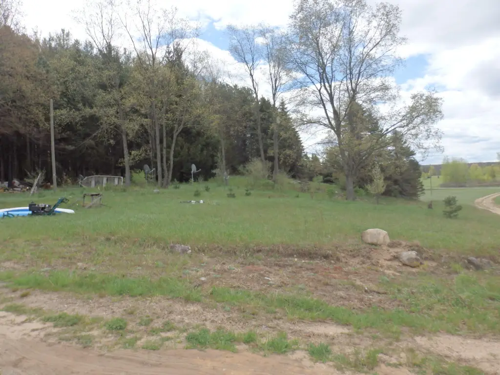 Picture 5