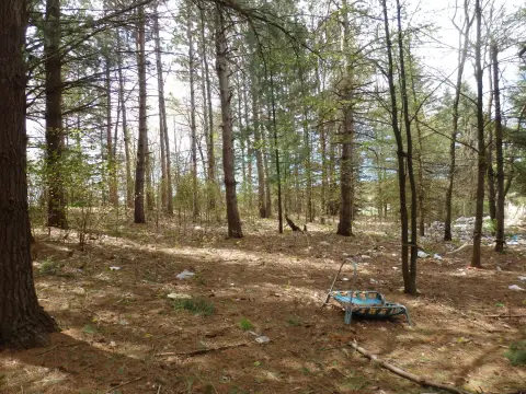 Partially Wooded Land with Utilities