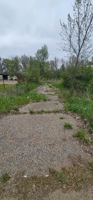 Picture 2