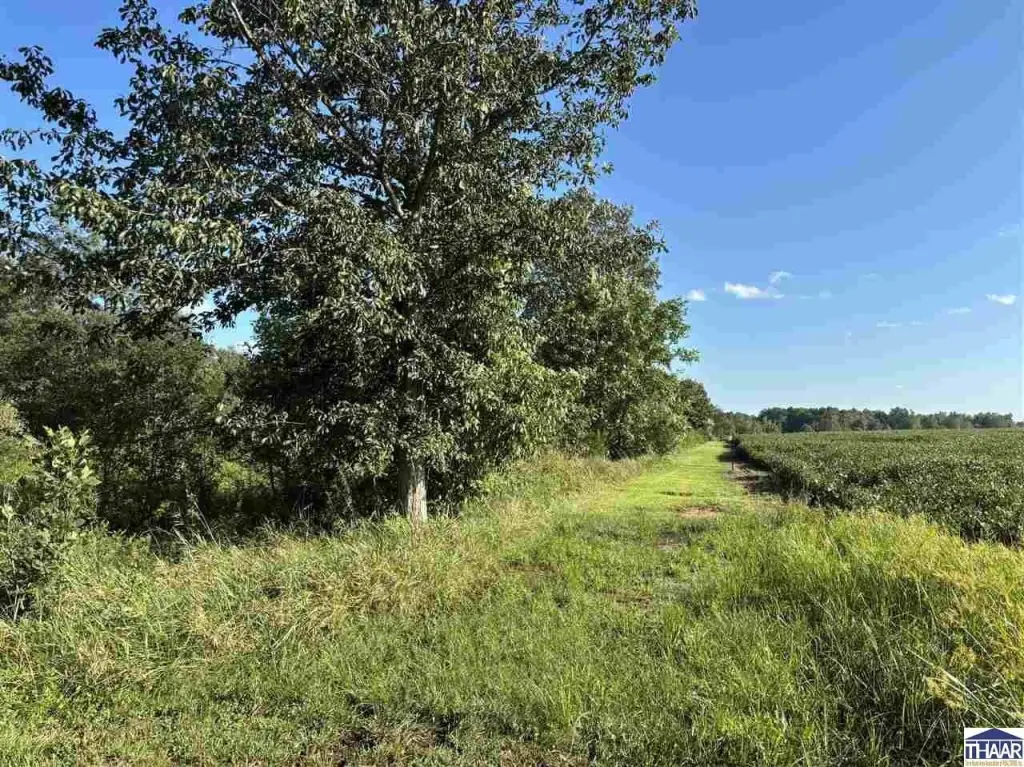 Picture 21