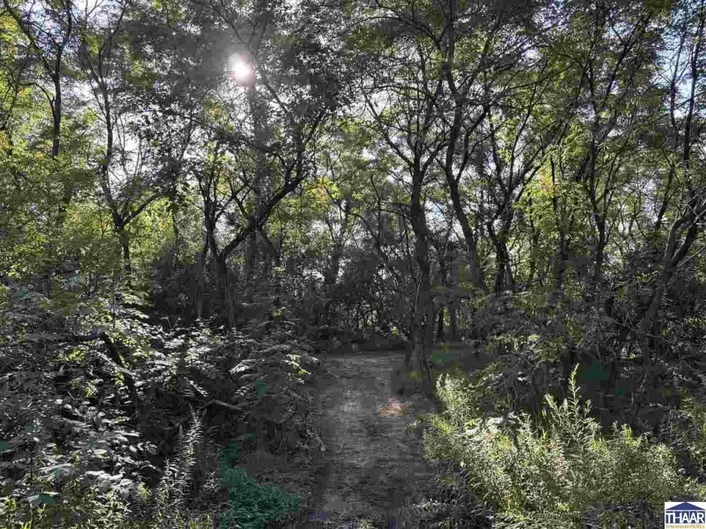 Picture 19