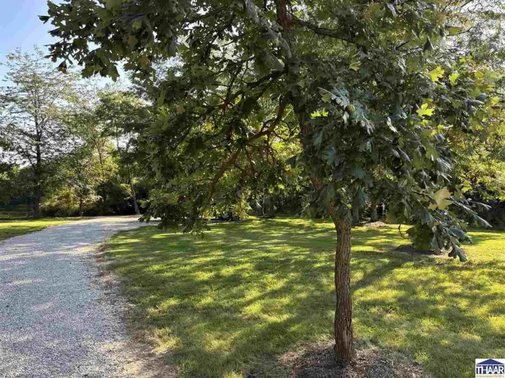 Picture 8