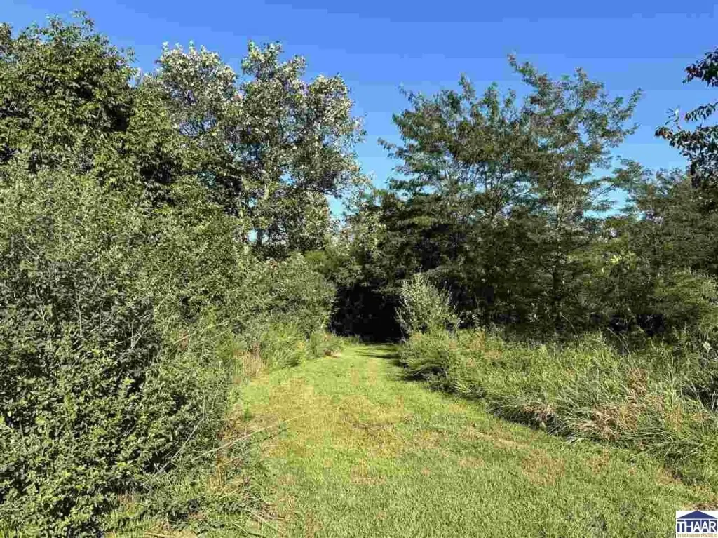 Picture 20