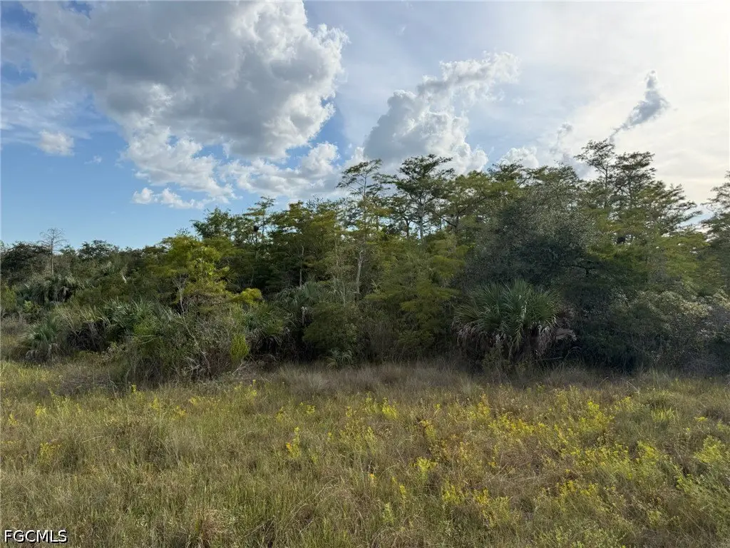Picture 8