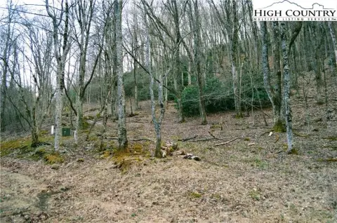 Blowing Rock Homesite in Community
