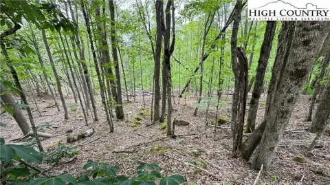 Two-Acre Land on Beech Mountain